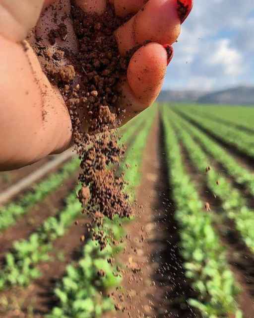 Actividades auxiliares en agricultura 01
