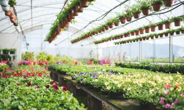 Actividades auxiliares en viveros, jardines y centros de jardinería 07